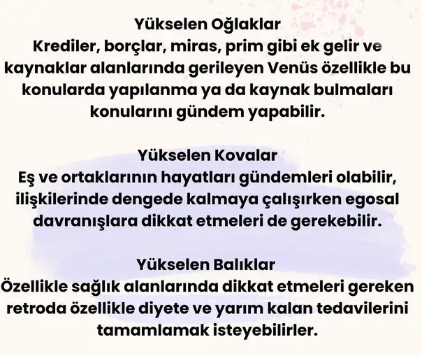 ven ret26 (6).webp