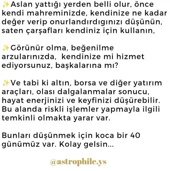 ven ret33 (2).webp