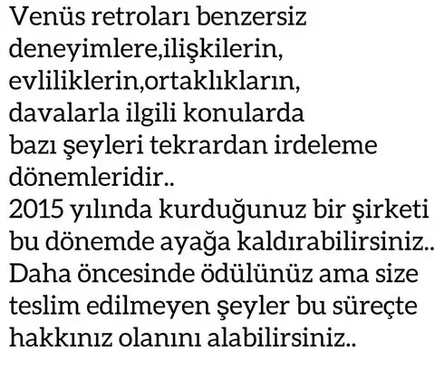 ven ret4212 (9).webp