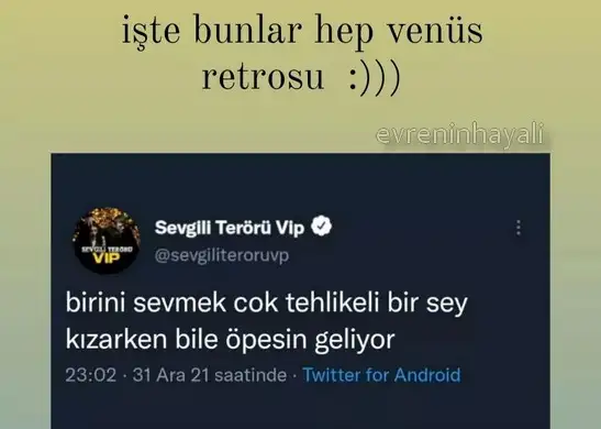 ven ret43.webp