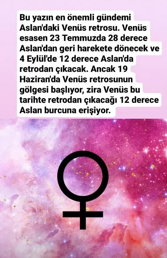 ven ret44 (1).webp