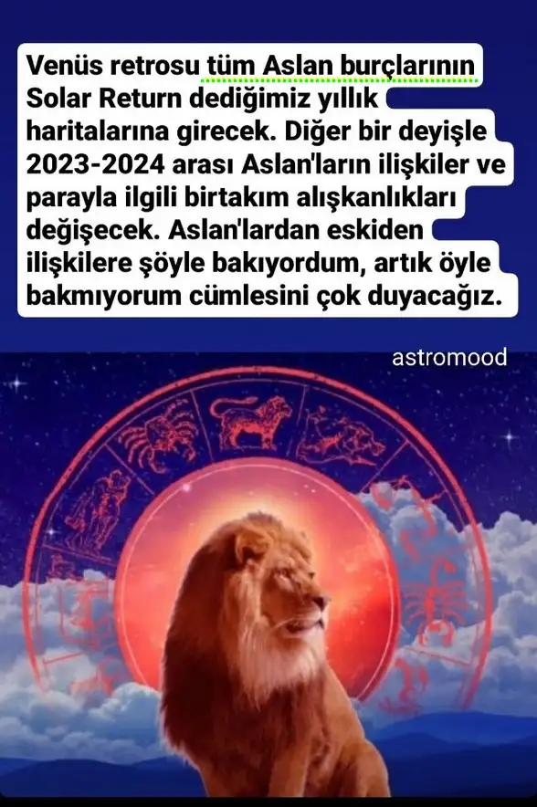 ven ret44 (4).webp