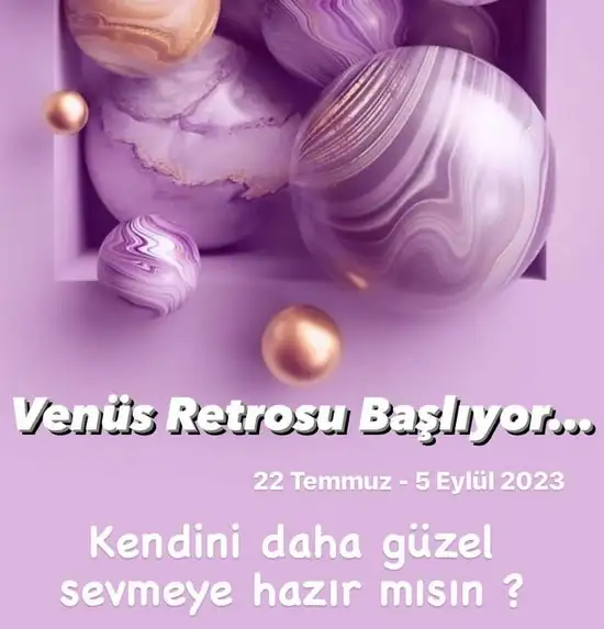 ven ret5 (1).webp