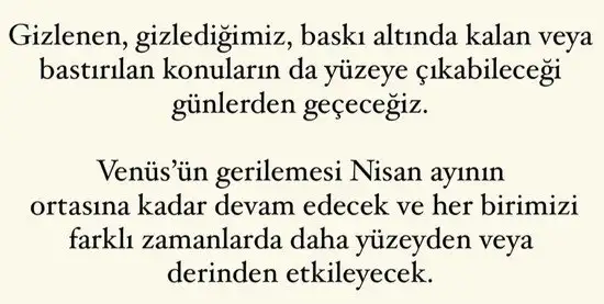 ven ret5 (6).webp