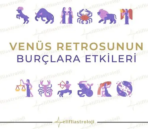 ven ret55 (1).webp