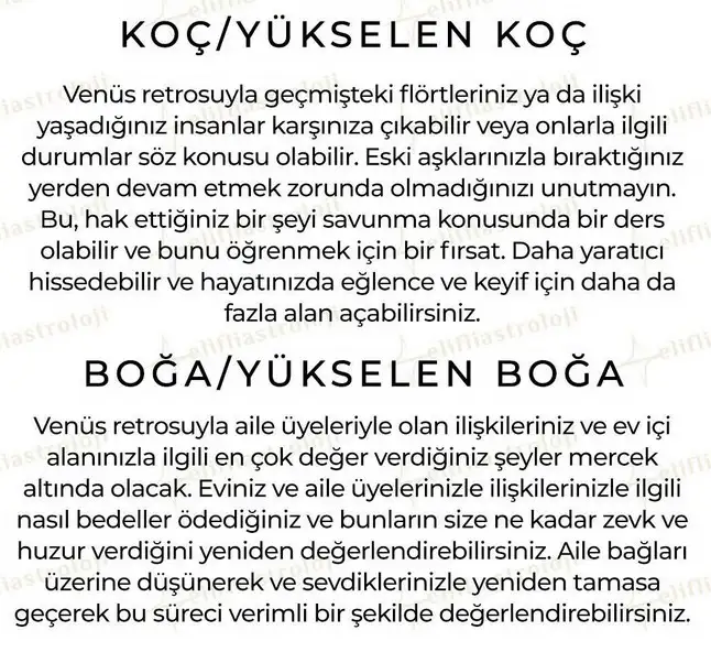 ven ret55 (2).webp