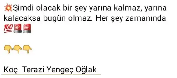 ven ret55 (2).webp