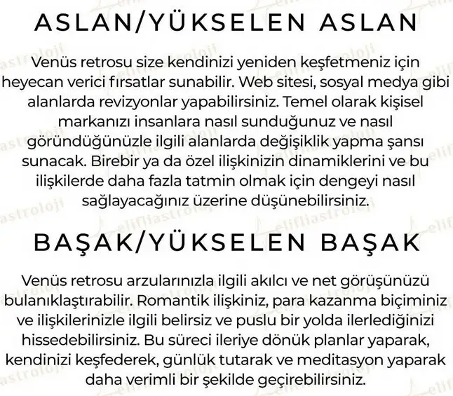 ven ret55 (4).webp