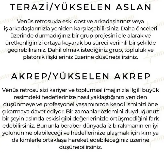 ven ret55 (5).webp