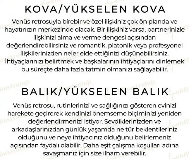 ven ret55 (7).webp