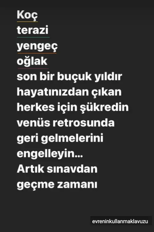 ven ret55.webp