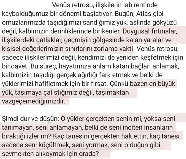 ven ret6 (2).webp