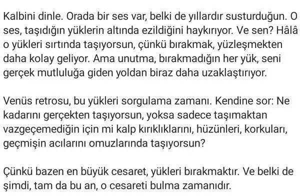 ven ret6 (3).webp