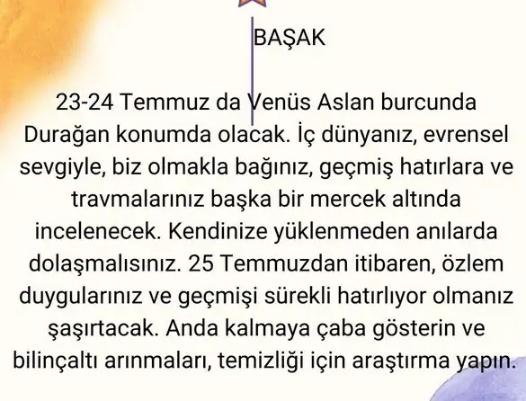 ven ret6 (7).webp