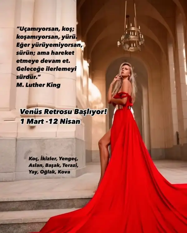 ven ret7 (1).webp