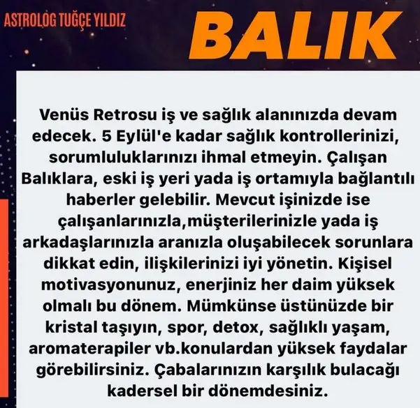 ven ret7 (12).webp