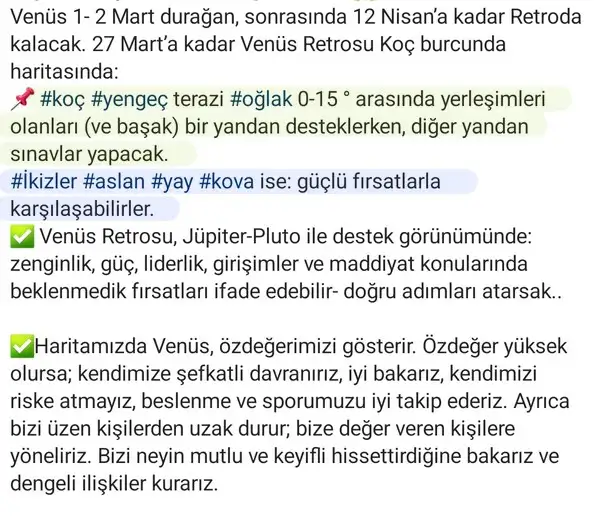 ven ret7 (2).webp