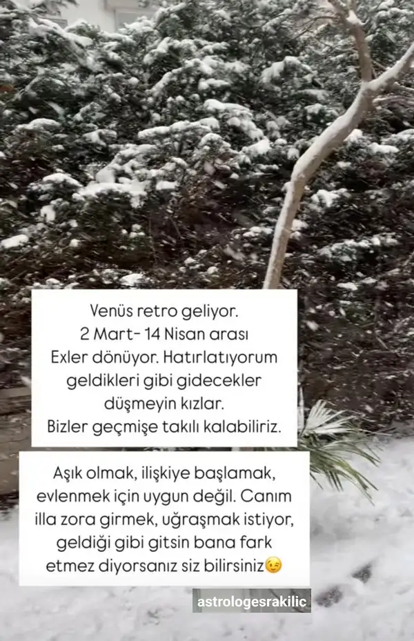 ven ret8.webp