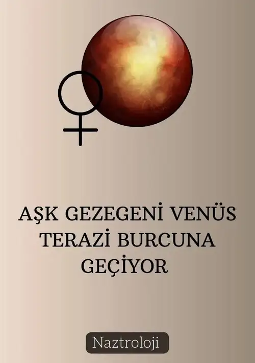 ven ter (1).webp