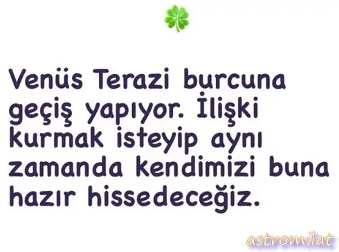 ven ter (1).webp