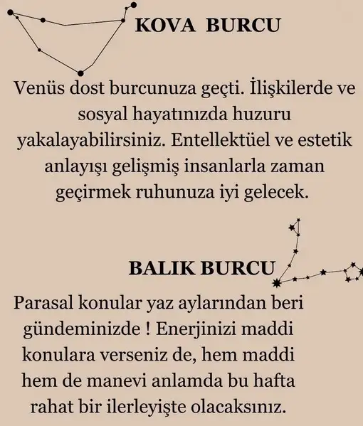 ven ter (10).webp