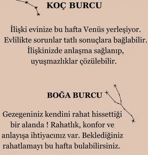 ven ter (2).webp
