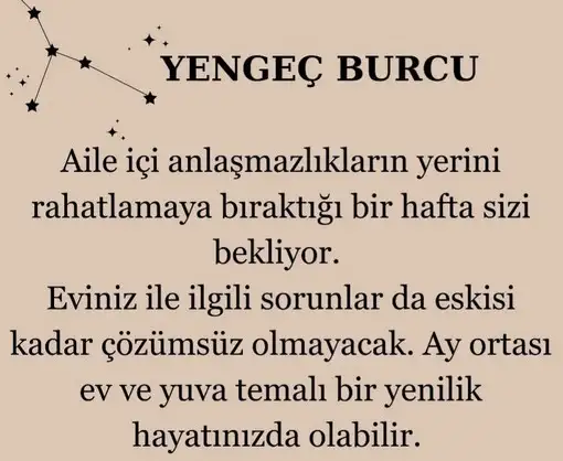 ven ter (4).webp