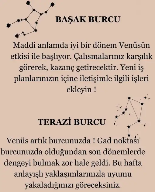 ven ter (6).webp