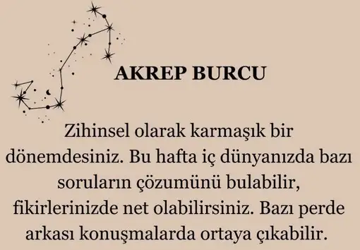 ven ter (7).webp