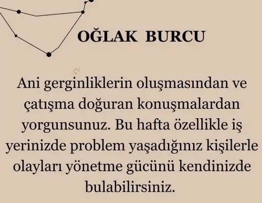 ven ter (9).webp