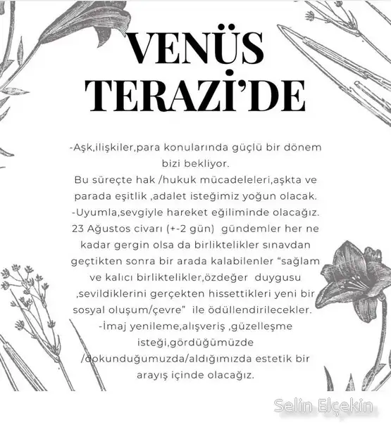 ven ter.webp