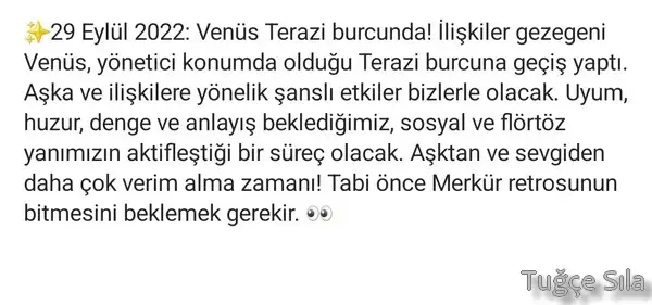 ven ter.webp