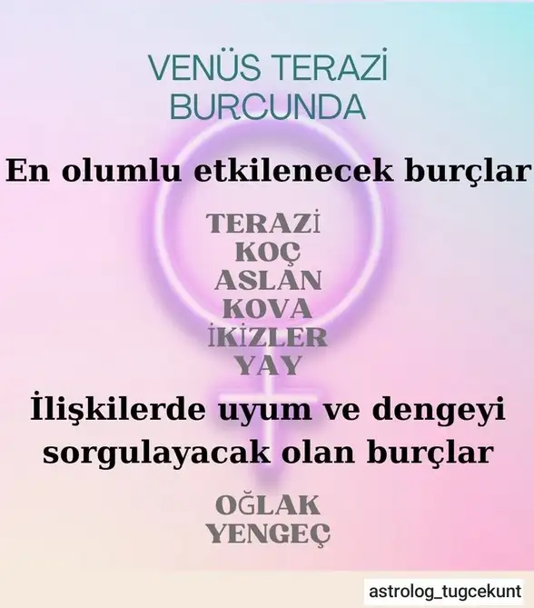 ven ter.webp