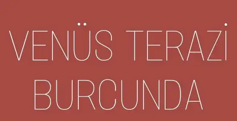 ven ter1 (1) - Kopya.webp
