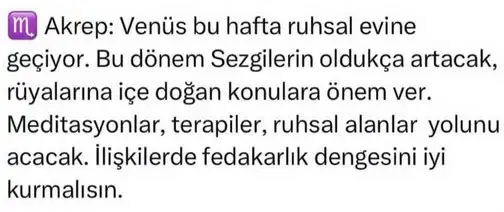 ven ter2 (7).webp
