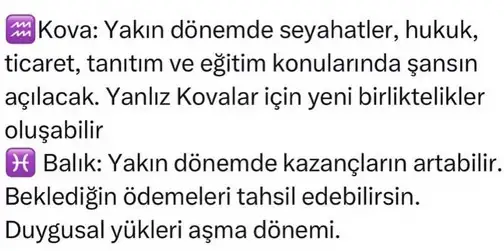 ven ter2 (9).webp