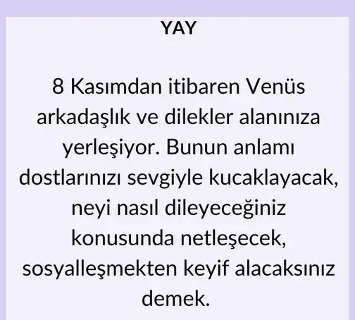 ven ter44 (10).webp