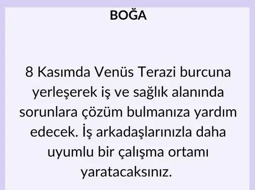 ven ter44 (3).webp