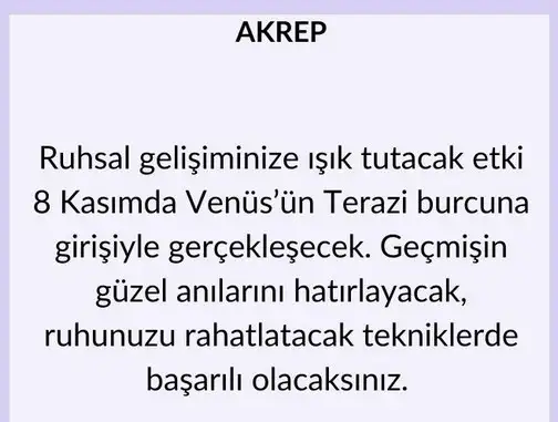 ven ter44 (9).webp