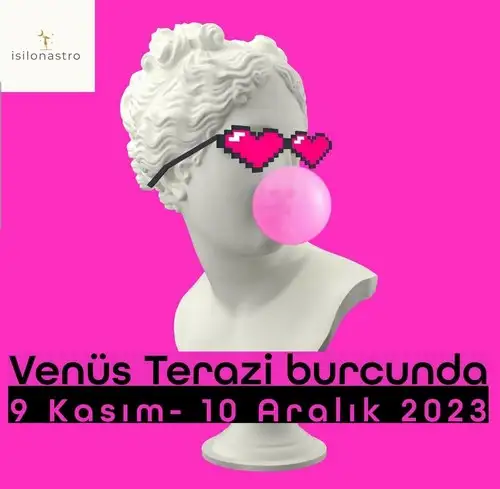ven  ter55 (1).webp