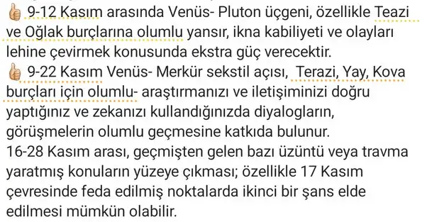 ven  ter55 (2).webp