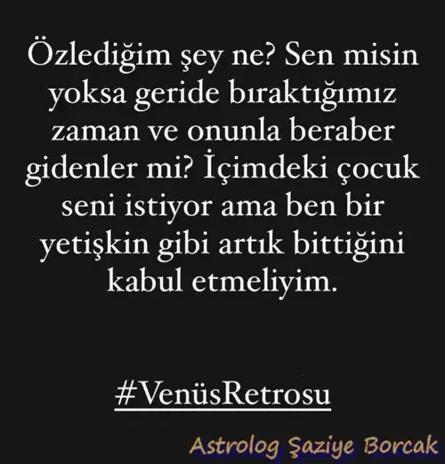 ven.webp