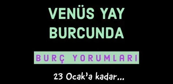 ven yay0 (1).webp