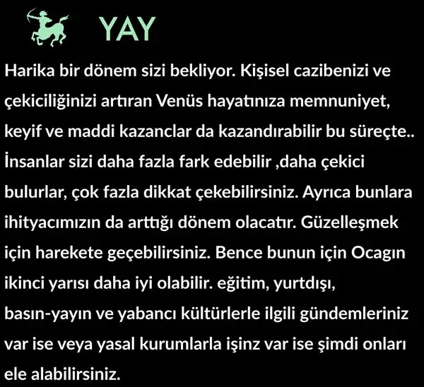ven yay0 (10).webp