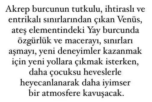 ven yay1 (3).webp