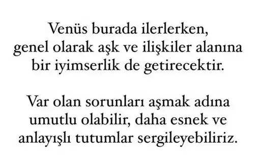 ven yay1 (5).webp