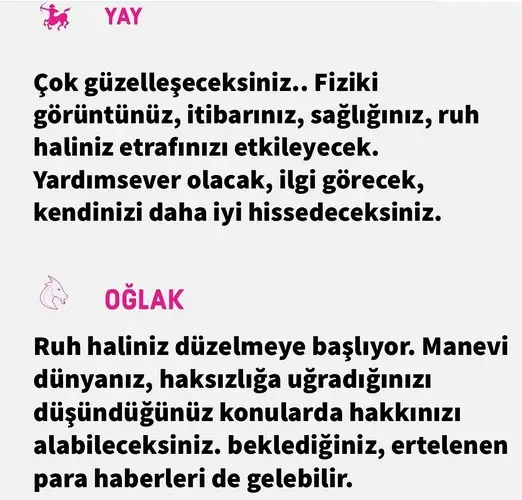 ven yay1 (7).webp