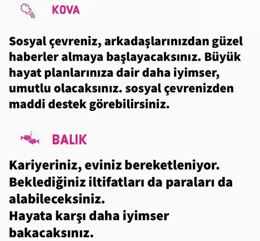ven yay1 (8).webp