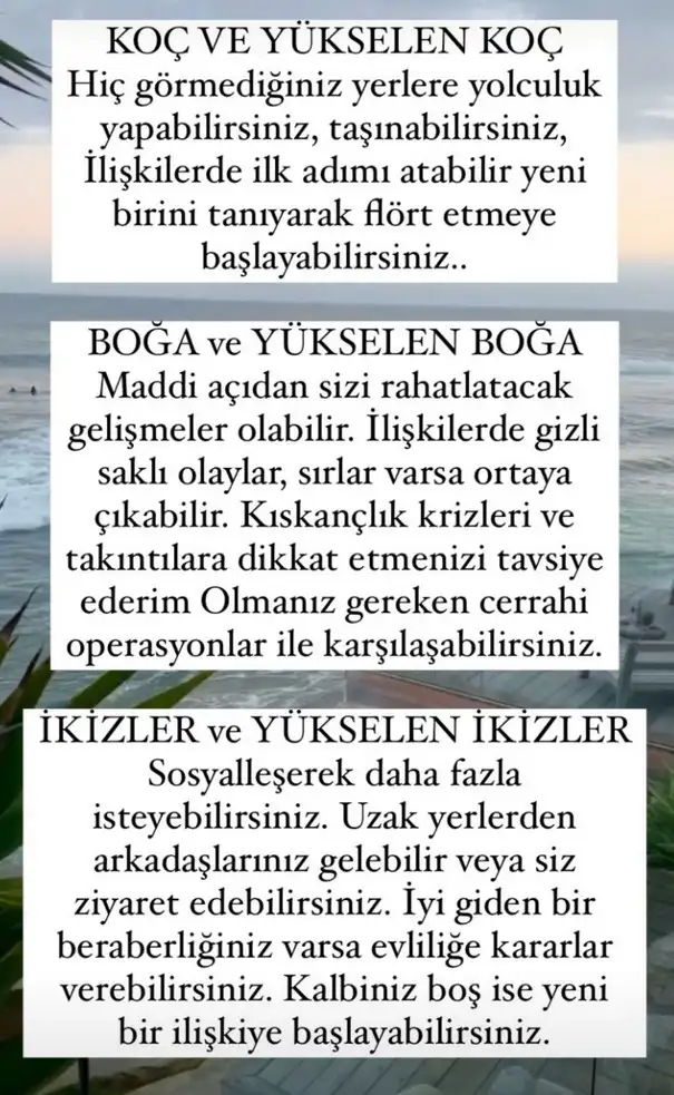 ven yay5 (2).webp