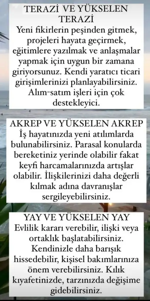 ven yay5 (4).webp